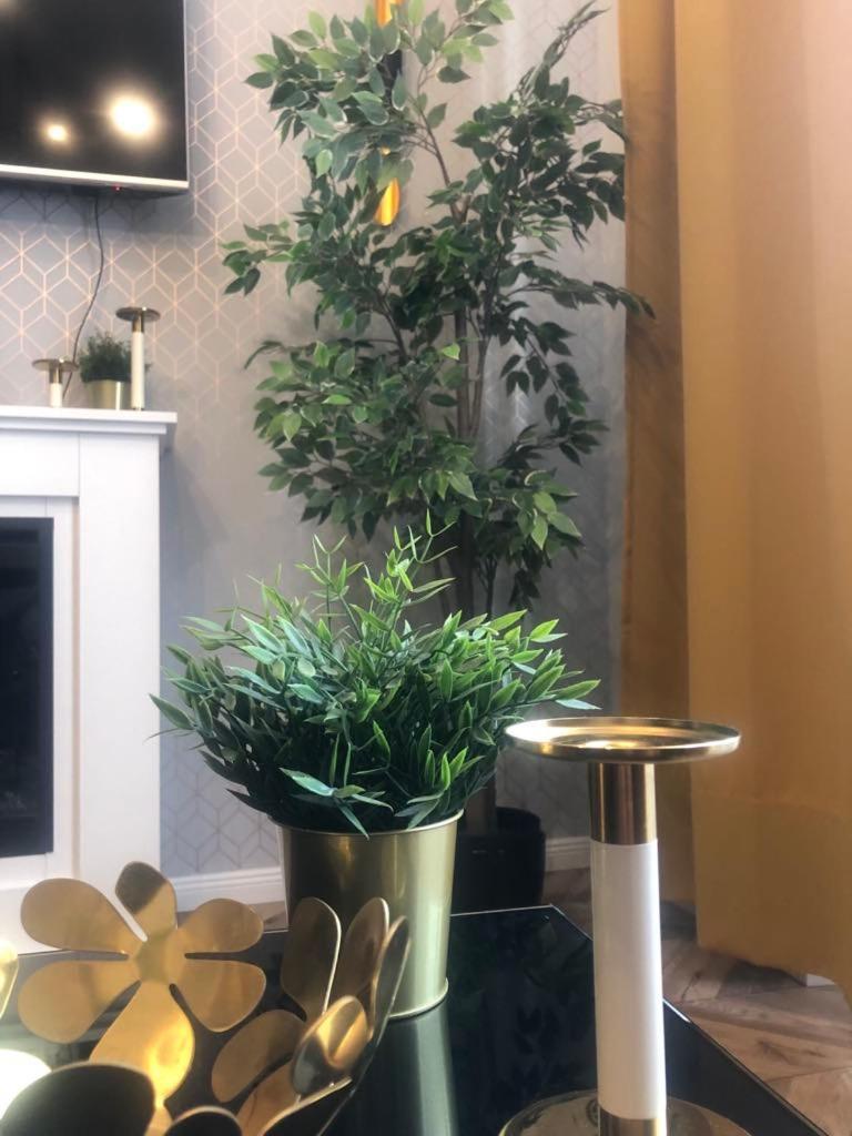 Apartment Glamorous Old Town Cracow Krakau